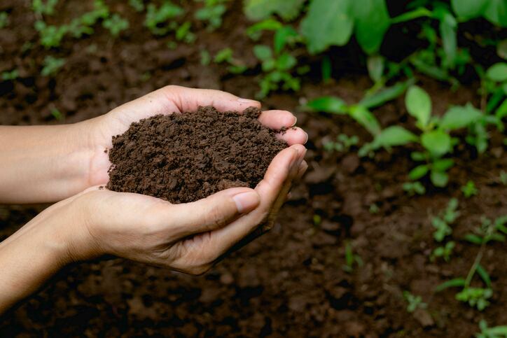 As-pressure-to-lower-organic-prices-mounts-farmers-look-to-creative-solutions-to-maintain-their-livelihood.jpg