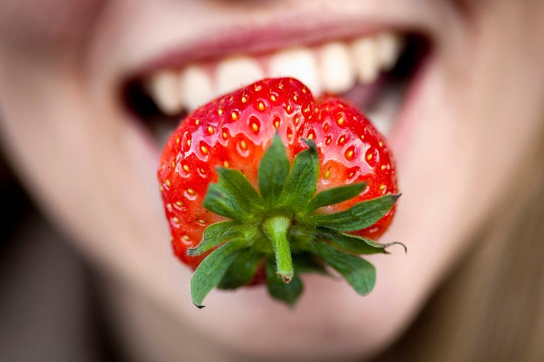 Developing-a-premium-strawberry-flavor-Is-controlled-environment-agriculture-the-answer.jpg