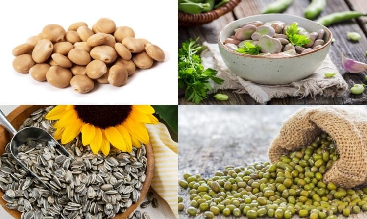 New-protein-sources.jpg