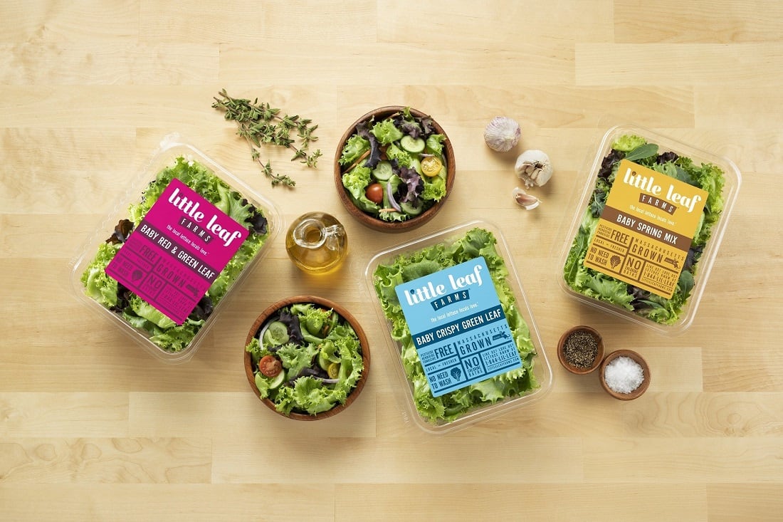 Little Leaf Farms captures 42% of indoor-grown leafy greens retail sales: 'We are by far the leader,' says CEO
