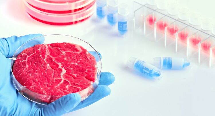 Cultivated meat and seafood watch: What’s the latest in cell-based?