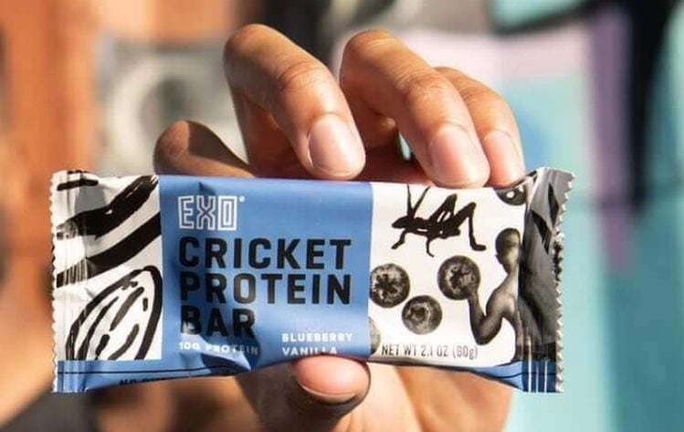 Exo-protein-bar.jpg