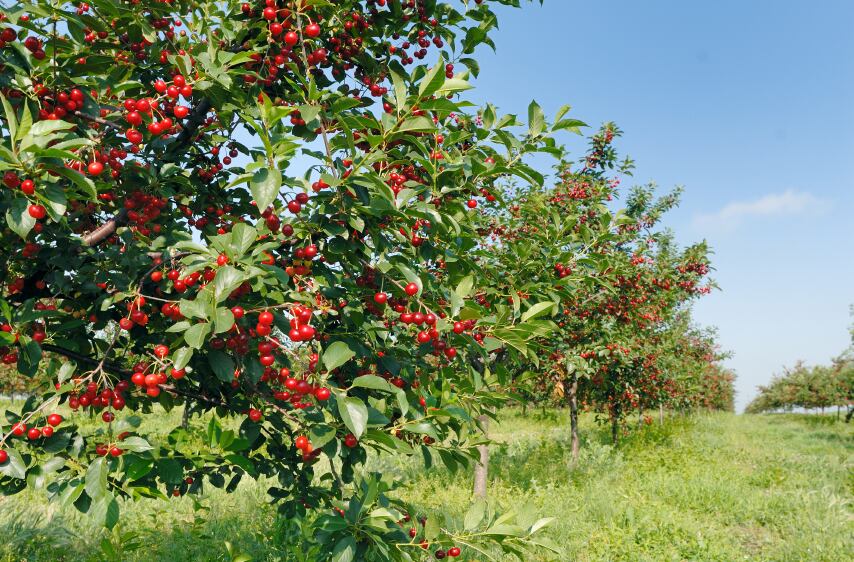 iStock_000010907914Small.jpg