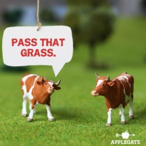 Applegate-grass.jpg