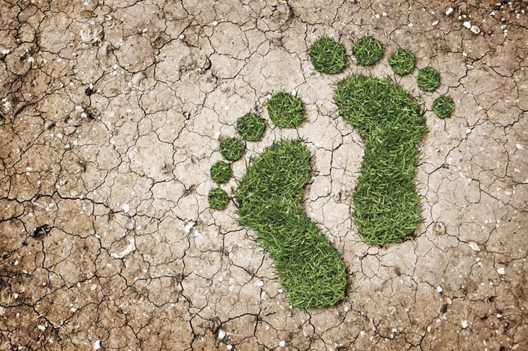 Carbon-footprint-GettyImages-Hype-Photography.jpg