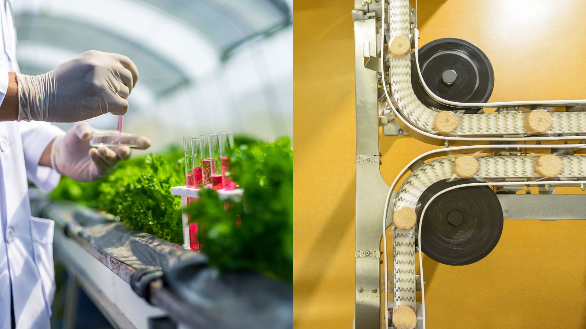 From precision fermentation to cultivated meat, protein startups are producing increasingly credible breakthroughs, but turning them into viable businesses remains the real challenge.