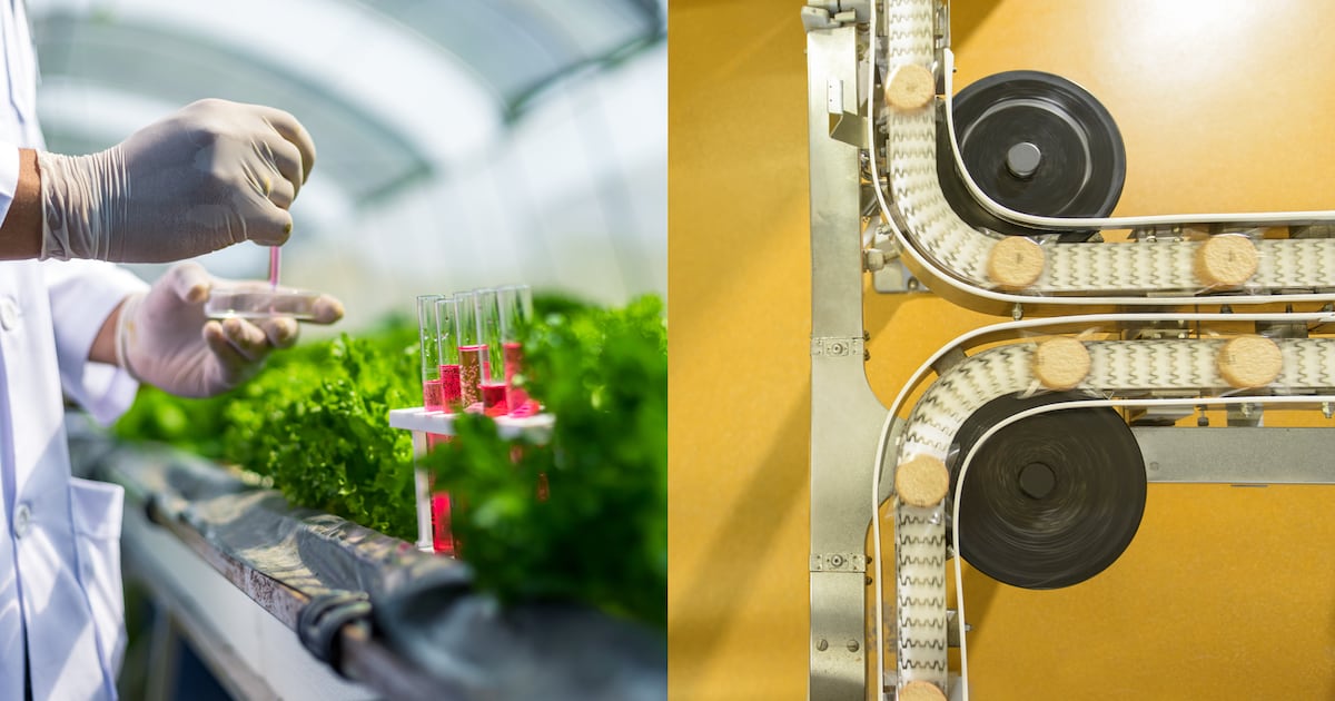 Why next gen alt protein startups will be built on access, not just science