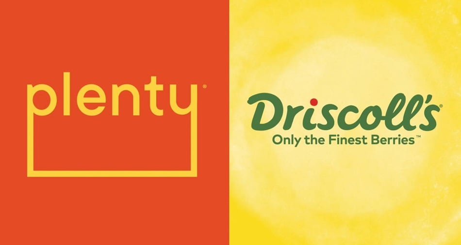 Driscoll-s-embraces-indoor-farming-in-partnership-with-Plenty.jpg