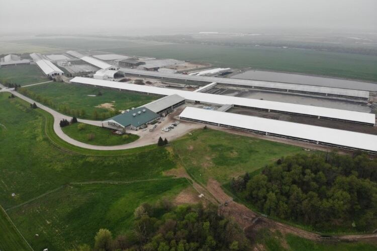 Fair Oaks scandal continues with new footage and abuse reports