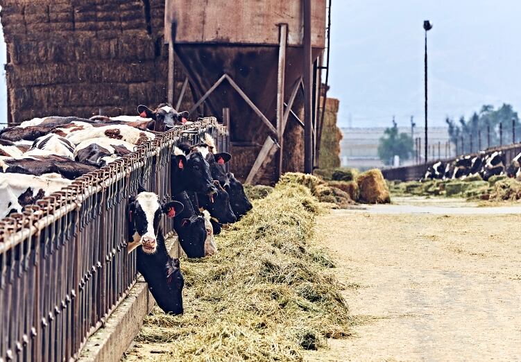 USDA to invest $1bn in “climate-smart commodities” and market expansion