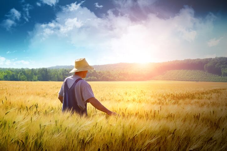 ‘We must go further’... Nestlé invests a billion euros in regenerative agricultural push