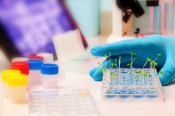 Citizen-petition-to-prohibit-non-GMO-claims-as-misleading-likely-won-t-gain-traction.jpg