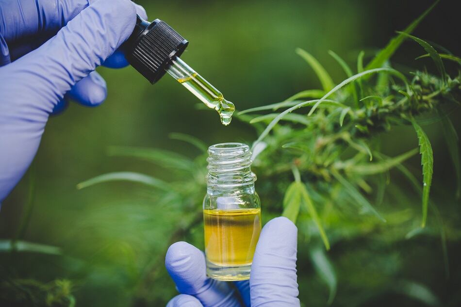 Prinova and Open Book Extracts partner on CBD product development