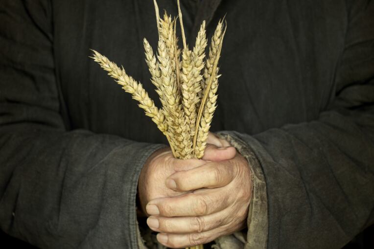 ‘The world is facing a global food catastrophe’: Food price crisis will top G7 agenda