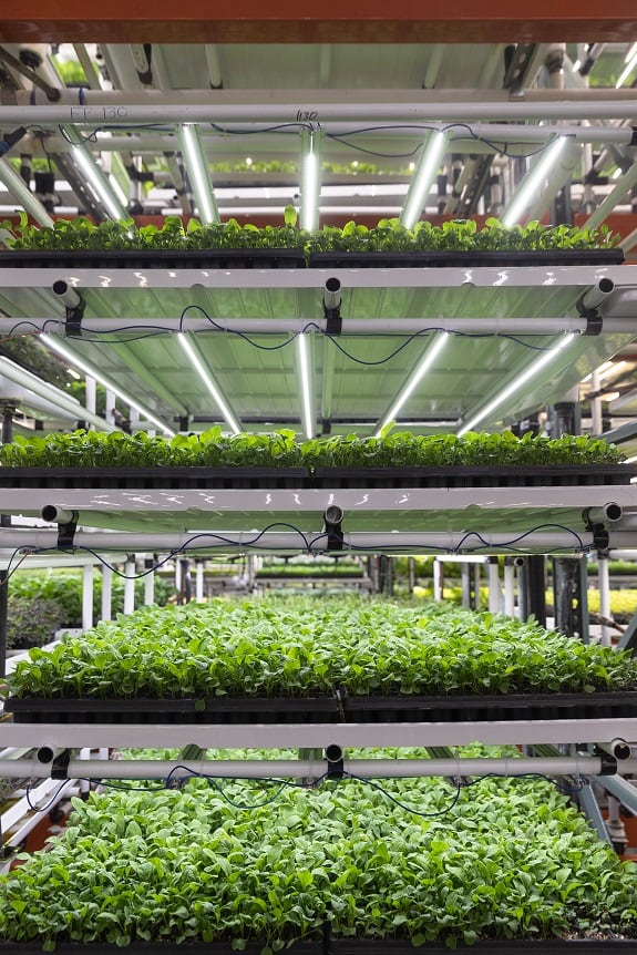 ForwardGreens_facility.jpg