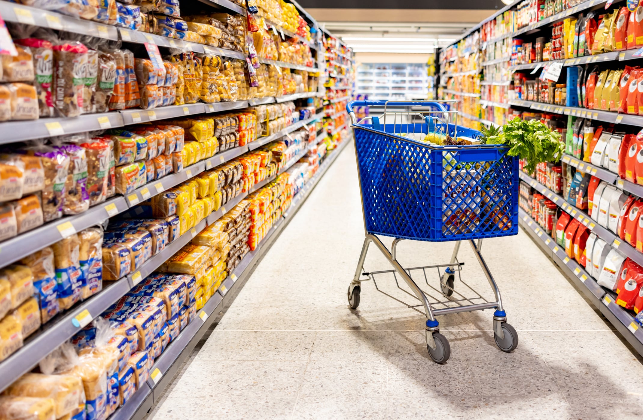 Grocery cart