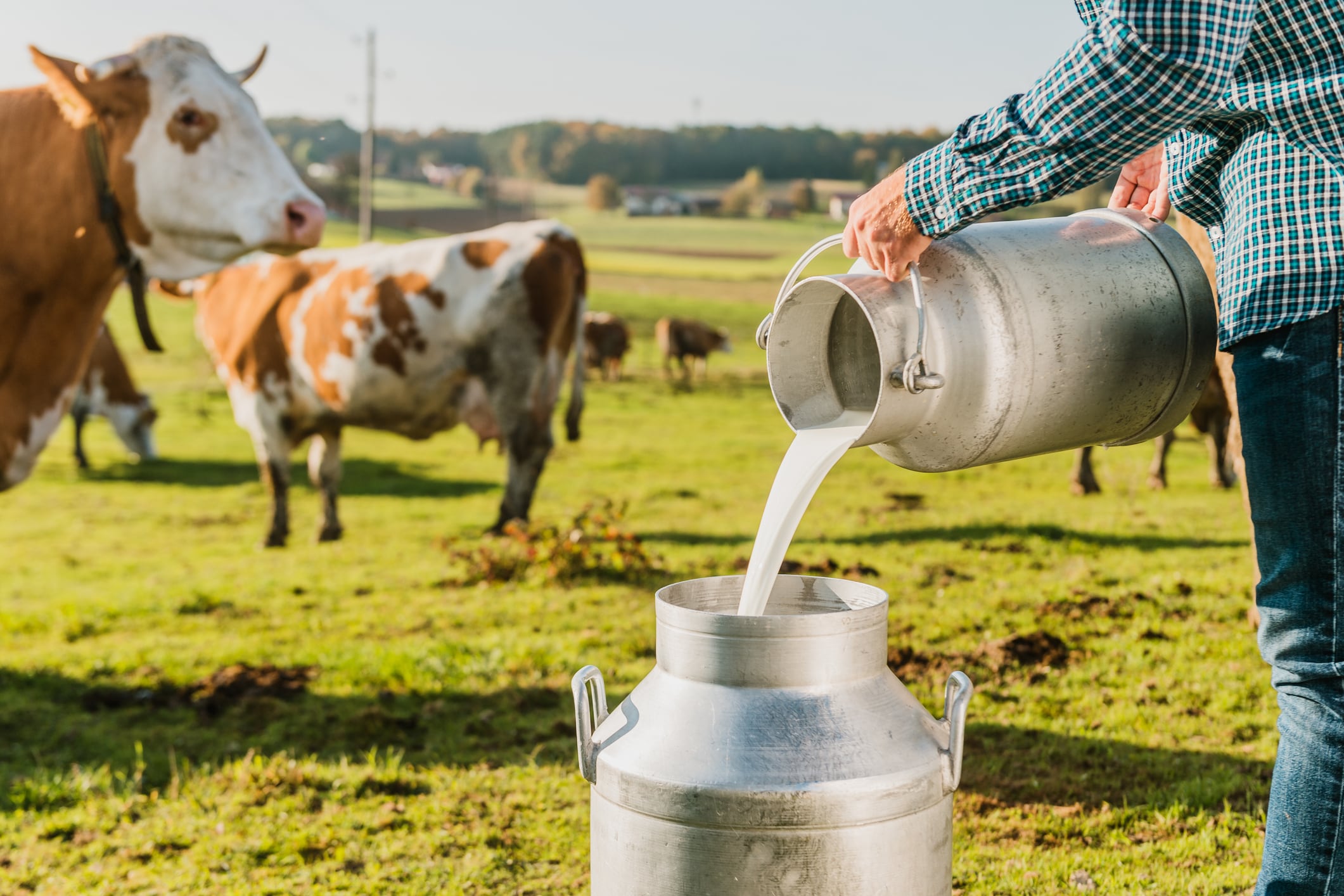 California Milk Advisory Board targets health-minded snackers with ‘Snack for Real’ campaign