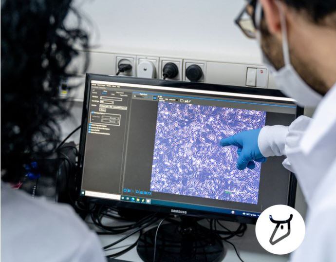 Israeli start-up is set to launch lab-grown collagen in 2024