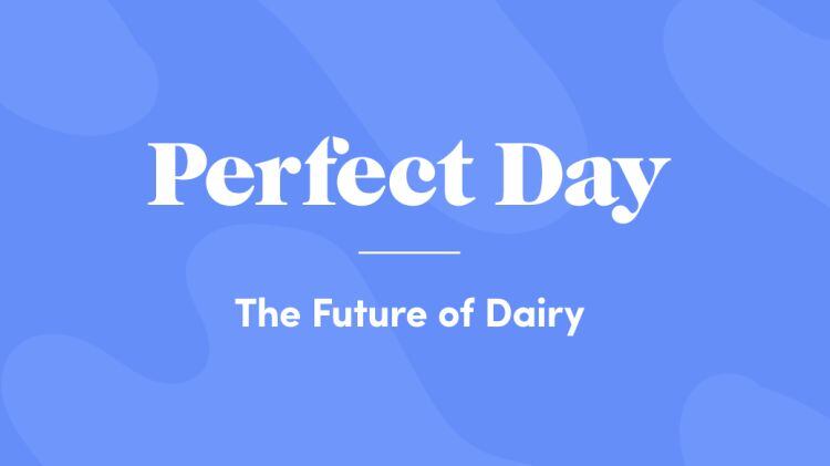 perfect-day-future.jpg