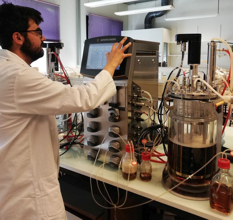 paleo-lab-1.jpg