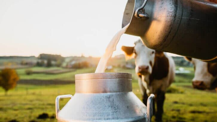 Regenivore movement pushes dairy industry to adopt regenerative agriculture practices