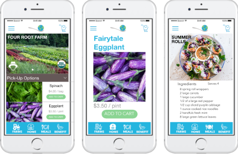 HealthyPlanEat_mobileapp.png