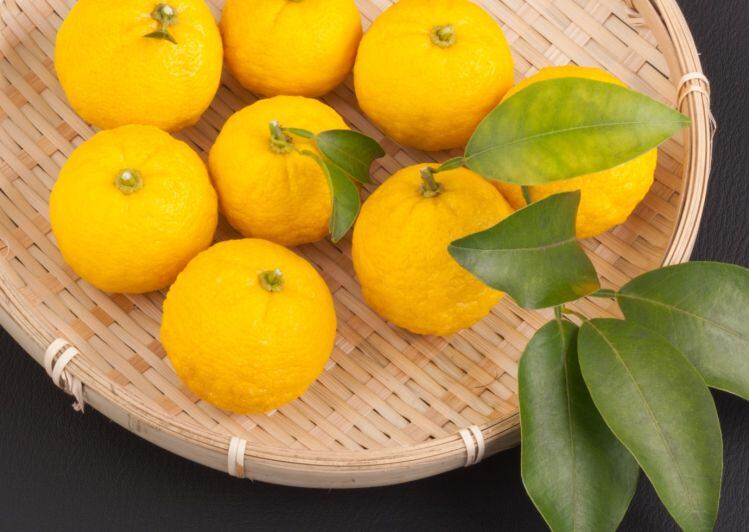 Yuzu-Synergy-Flavors.jpg