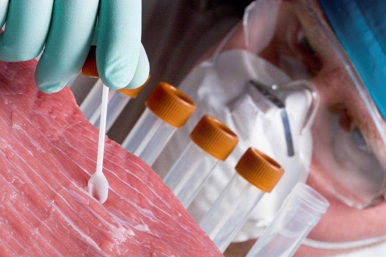 Gelatine ‘scaffolds’ breakthrough for lab-grown meat