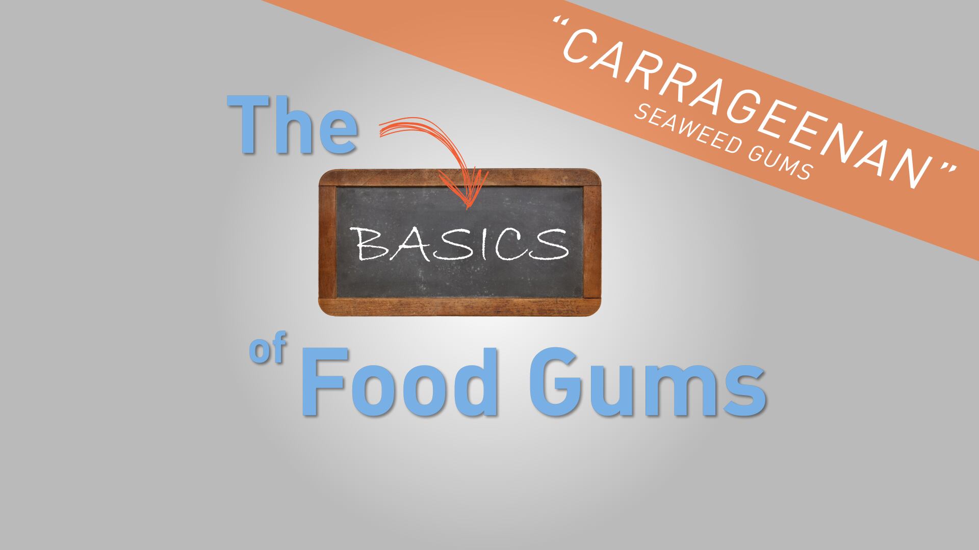 GumGuru_Screenshot.png