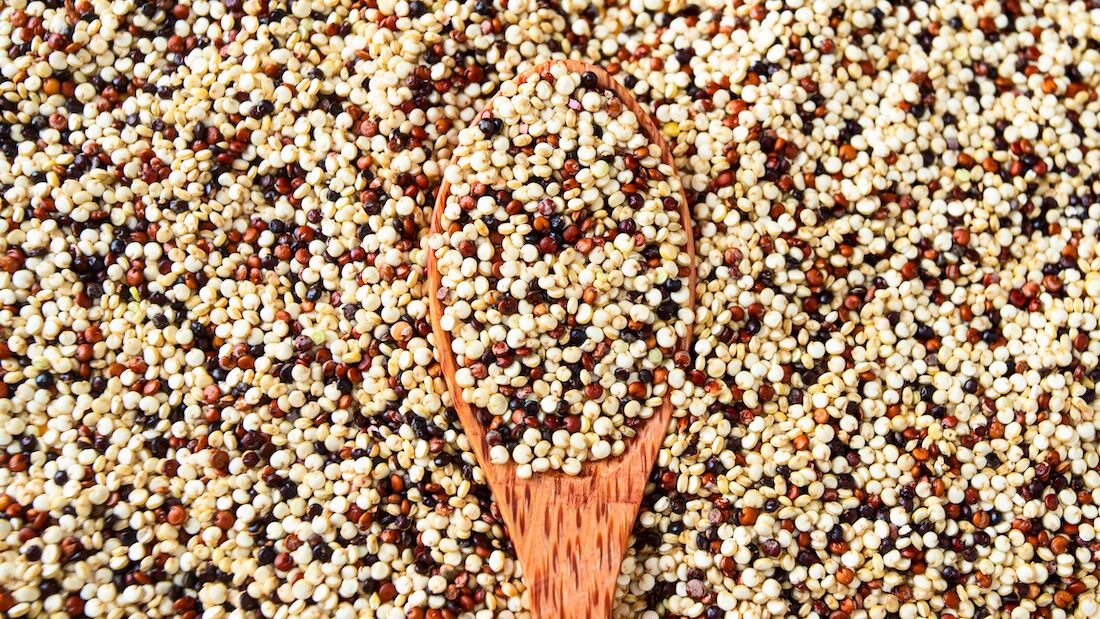 Sorghum in focus: ‘The goal is to increase the use of sorghum in the US food supply,’ says Sorghum Checkoff 