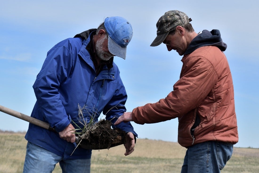 General-Mills-launches-three-year-regenerative-dairy-pilot-project.jpg