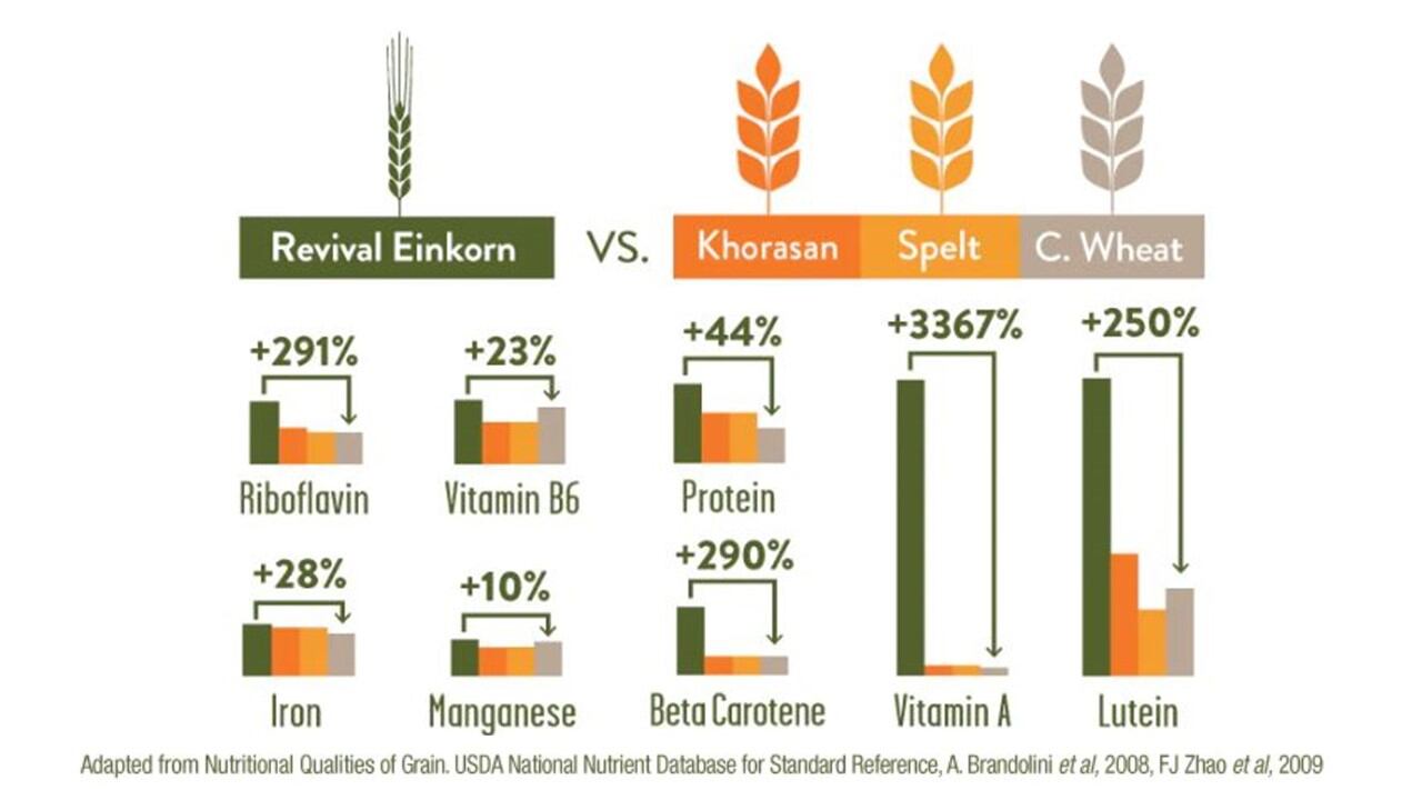 Revival-Einkorn-chart.jpg
