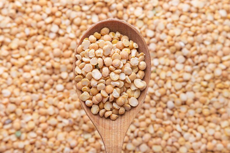 ADM: ‘We’re very confident that our pea protein will have some competitive advantages’