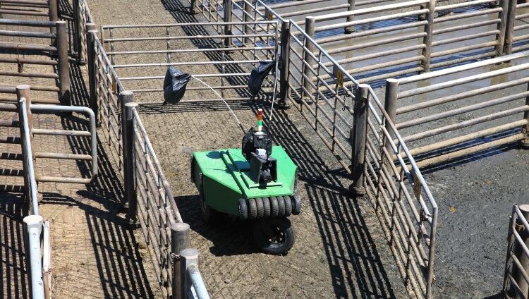 Cargill develops ‘industry-first’ robotic cattle driver
