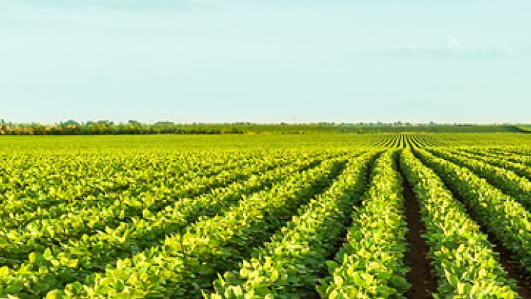 ADM-Sustainability-Integrated-Supply-Chain.jpg