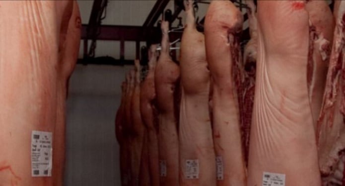 Argentina authorities suspend two pork refrigerators