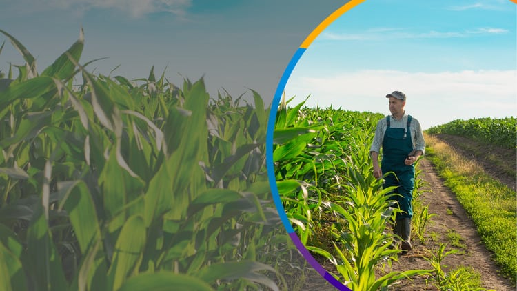 Sustainable Sweetening Solutions from ADM
