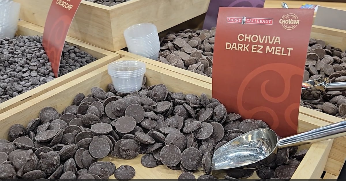 Barry Callebaut bets on cocoa-free chocolate