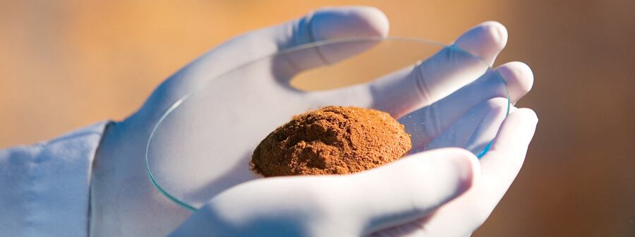 Cargill receives GRAS no objections letter from FDA for EpiCor yeast fermentate as ISAPP defines ‘postbiotics’