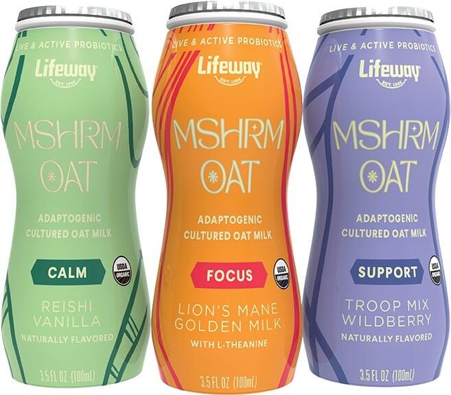 MSHRM_Oat_Lifeway-Foods.jpg