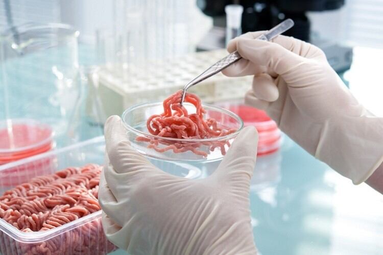 Cultured meat deal ensures US does not ‘fall behind’
