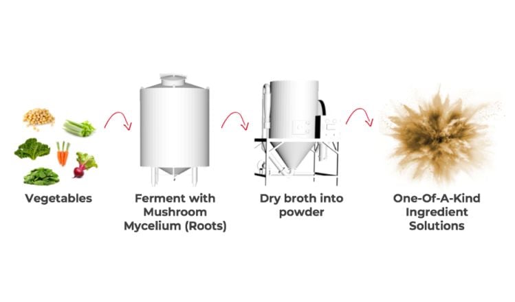 MycoTechnology-raises-39m-in-Series-D-to-expand-functional-ingredients-platform.jpg