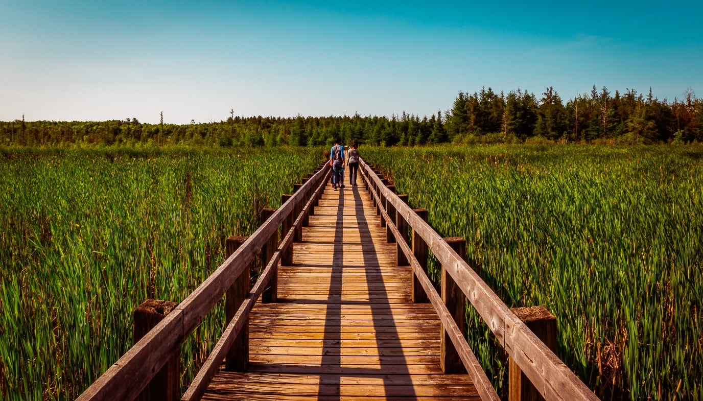 Corbion’s ‘bold pledge’ on carbon emissions: ‘Climate change will get more and more attention’