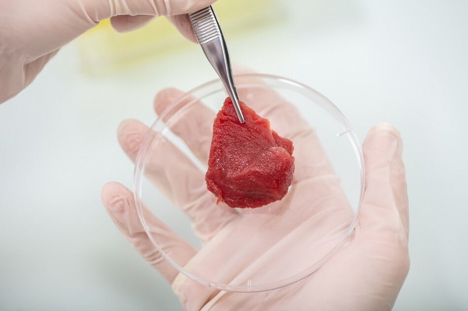 Survey: How do consumers feel about cell cultured meat, and dairy minus the cows?