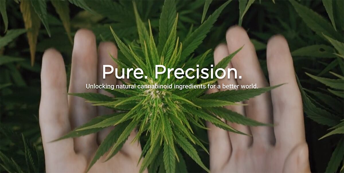 Socati offers CBD brands a one-stop shop for products with custom cannabinoid ratios