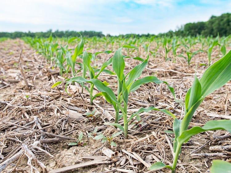 Alternative-proteins-and-regenerative-agriculture-collaboration.jpg