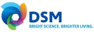 DSM-logo.jpg