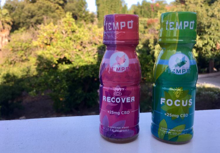 Tempo Wellness: An entrepreneur's perspective into the emerging CBD category
