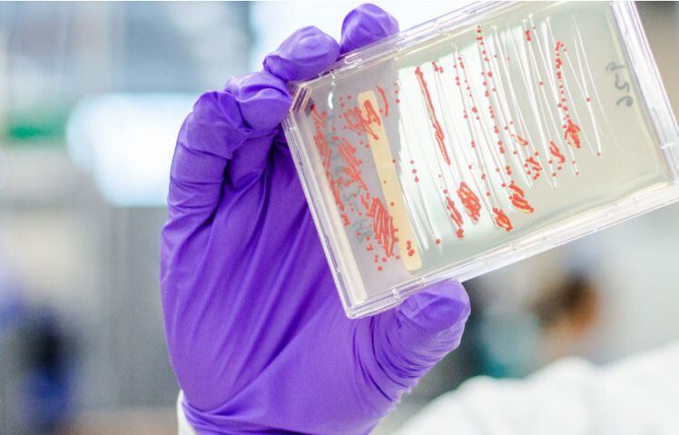 Motif-Ingredients-CEO-We-ve-had-pushback-over-genetic-engineering-for-years-now-but-the-conversation-has-to-change.jpg
