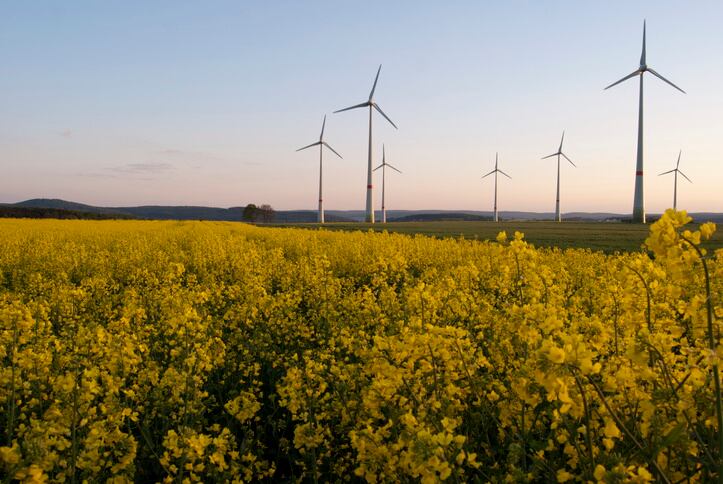 GettyImages-Micha-Wold-windmills-wind-turbines-canola-field-carbon.jpg